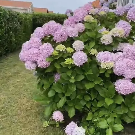 Semesterbostad Casa Del Faro De Con Vistas Ajo