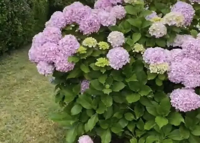 Holiday home Casa Del Faro De Con Vistas Ajo